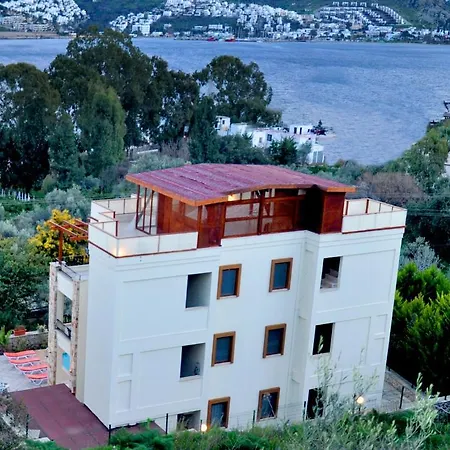 Apartment Liona *